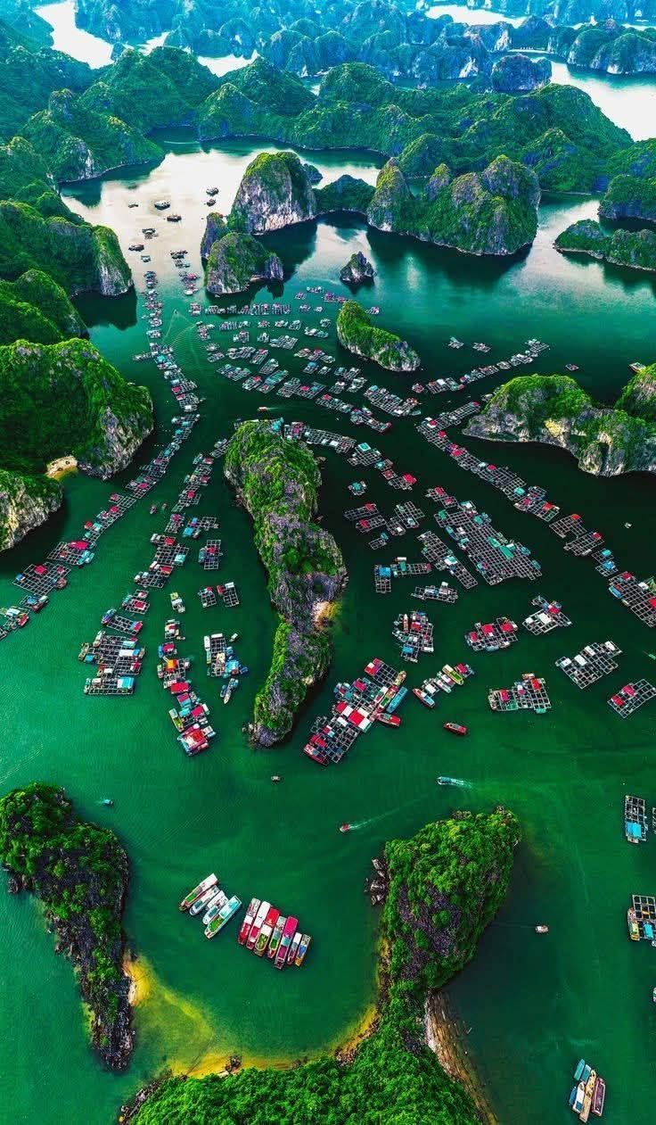 Lan Ha Bay
