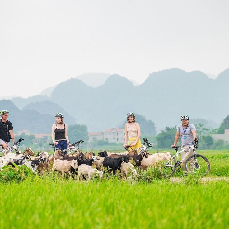 Cycle Through Rural Ninh Binh