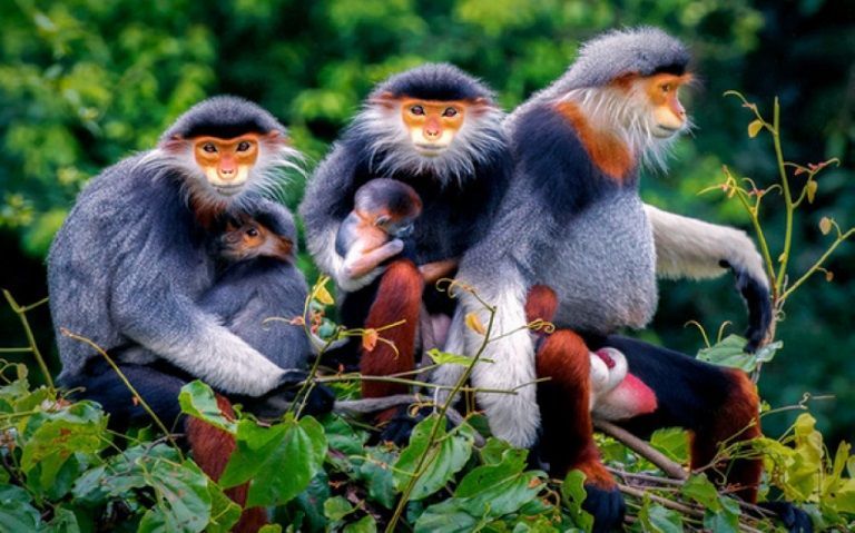 Discover Phu Quoc National Park