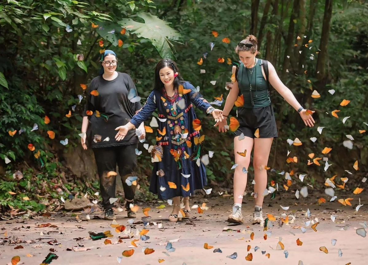 Experience Butterfly Season