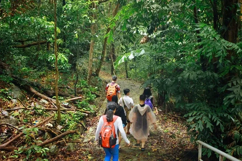 Explore Con Dao National Park (Jungle & Trekking)