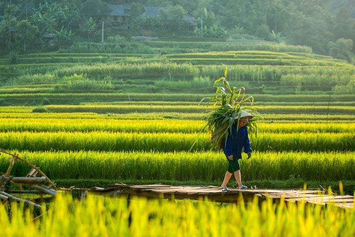 Explore Kho Muong Village
