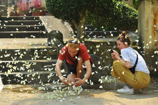 Explore Van Long or Cuc Phuong