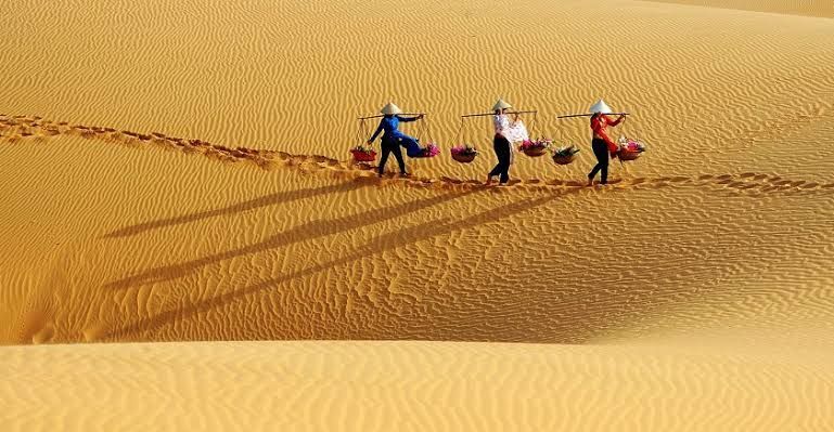 Explore the White Sand Dunes (Must-Do Experience)