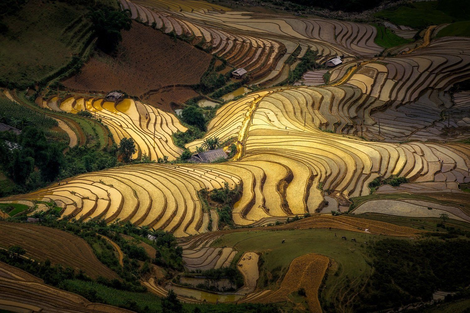 See the Water-Pouring Season