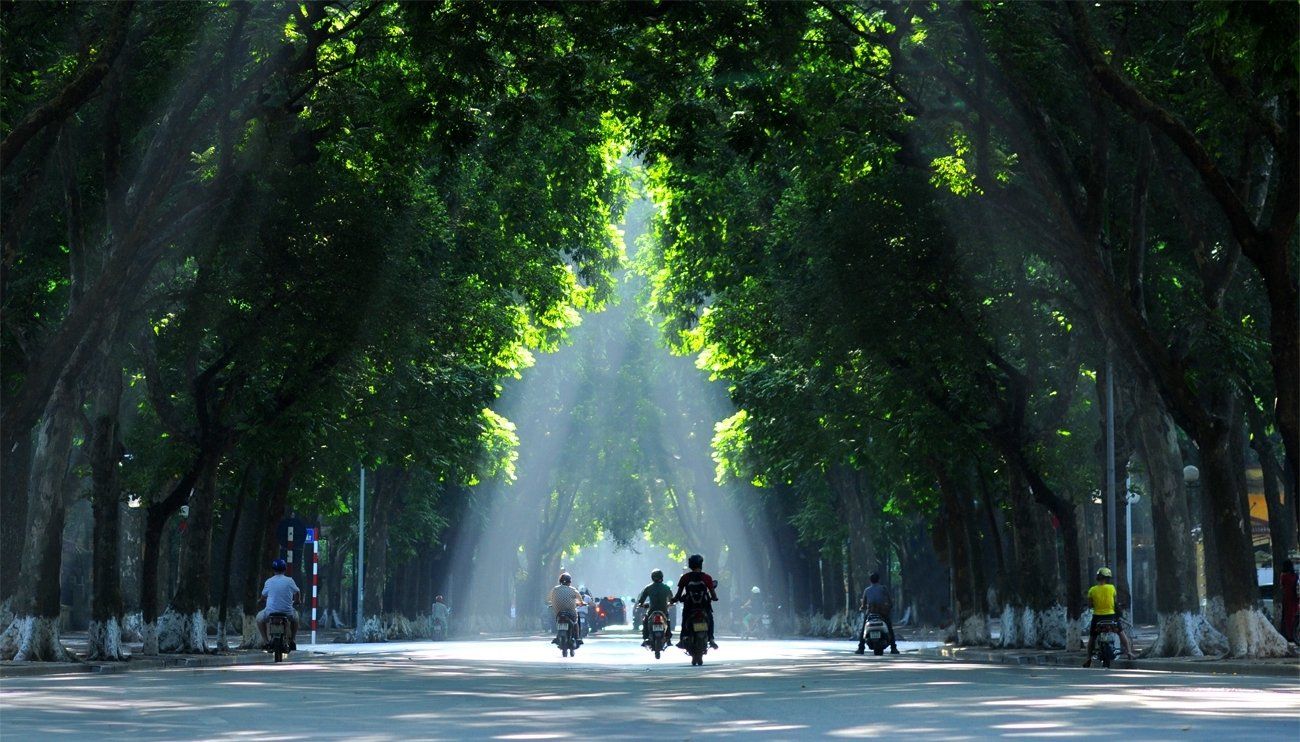 Top 10 Must-Visit Destinations in Vietnam – A Complete Travel Guide.