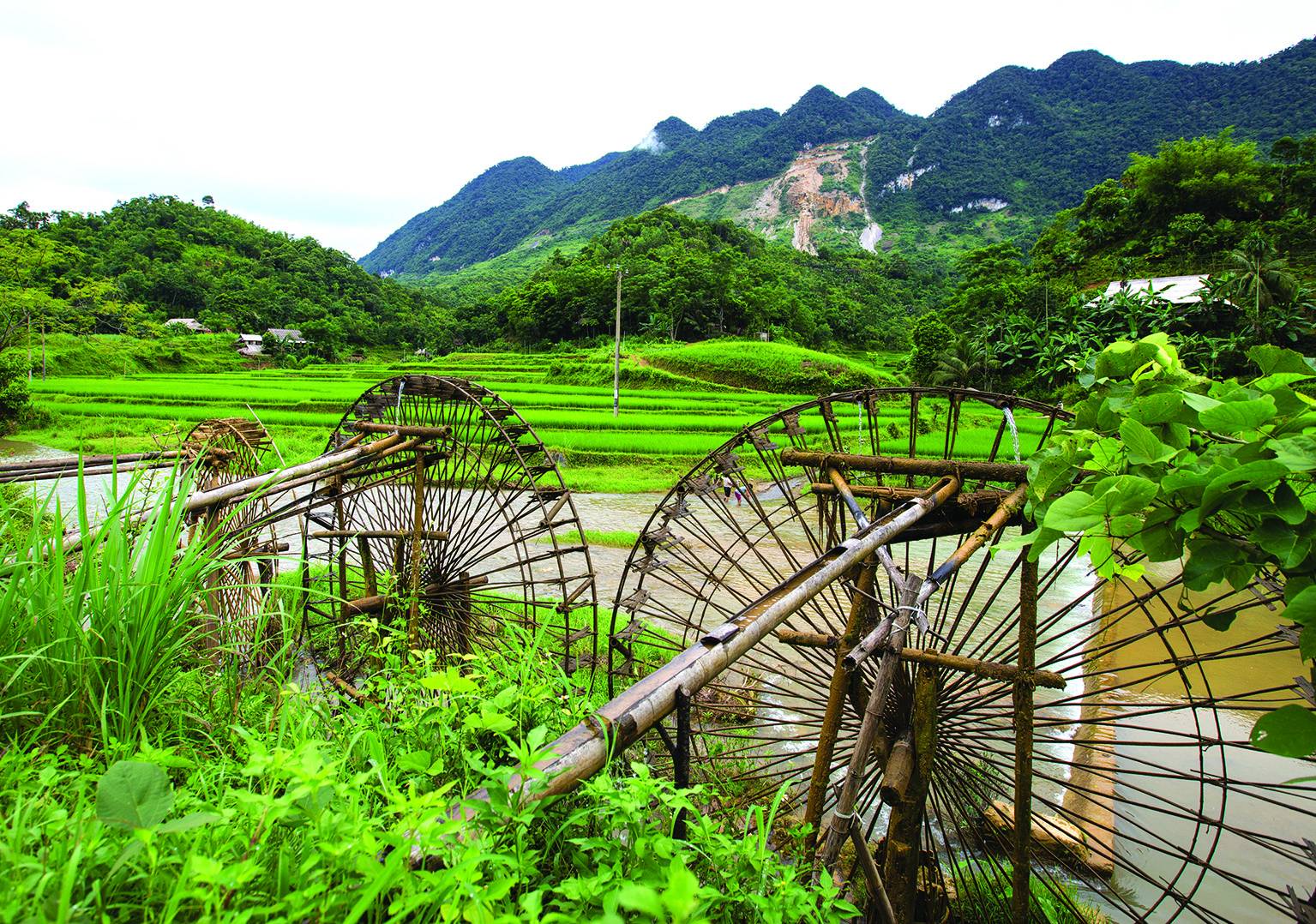 A water wheel is in the middle of a lush green field with mountains in the background.