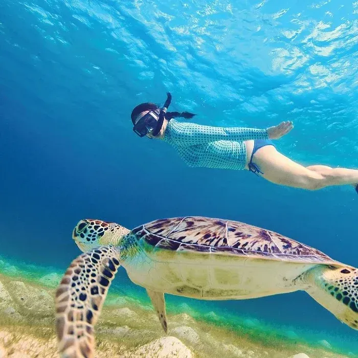Snorkeling & Diving in Crystal Clear Waters