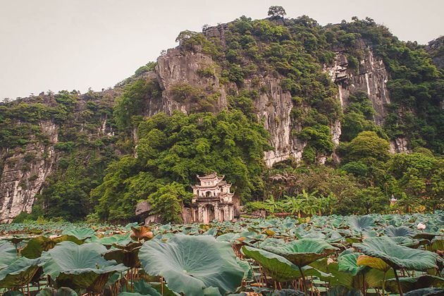 Visit Bich Dong Pagoda