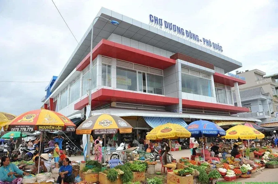 Visit Duong Dong Market