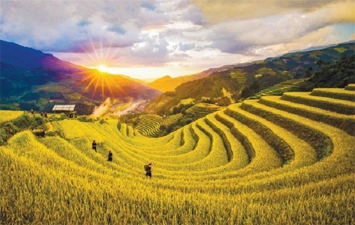 Visit During the Golden Harvest