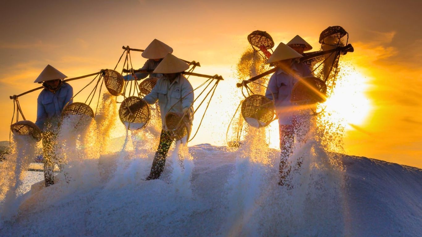 Visit Salt Fields Near Nha Trang