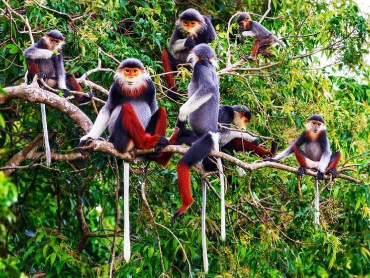 Visit Wildlife Conservation Centers