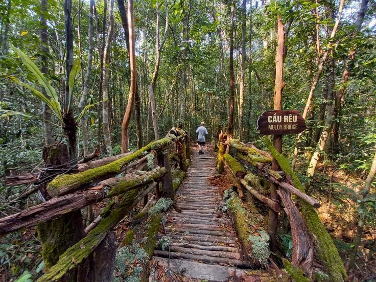 Walk in Phu Quoc National Park