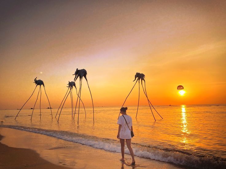 Watch the Sunset