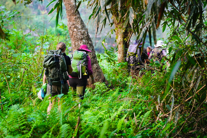 Top Trekking Destinations in Northern Vietnam
