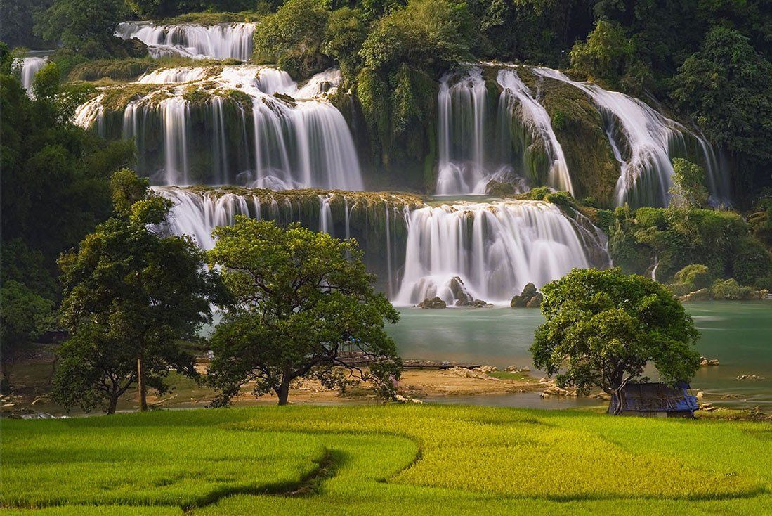 A waterfall is surrounded by trees and a green field.