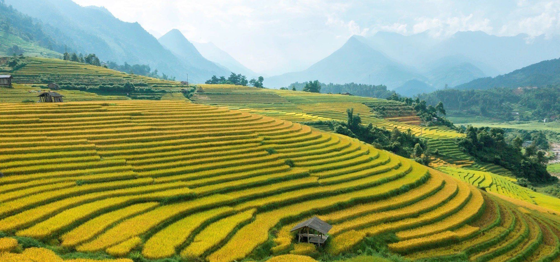 Best Times to Visit Vietnam’s Rice Terraces-Friendstravelvietnam