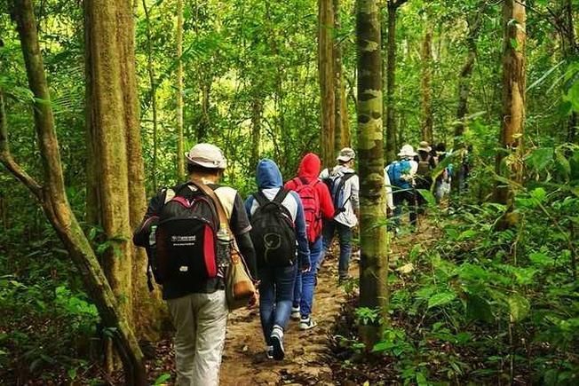 Trekking Opportunities in Southern Vietnam
