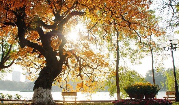 Hanoi Weather in August: Complete Guide to the Season