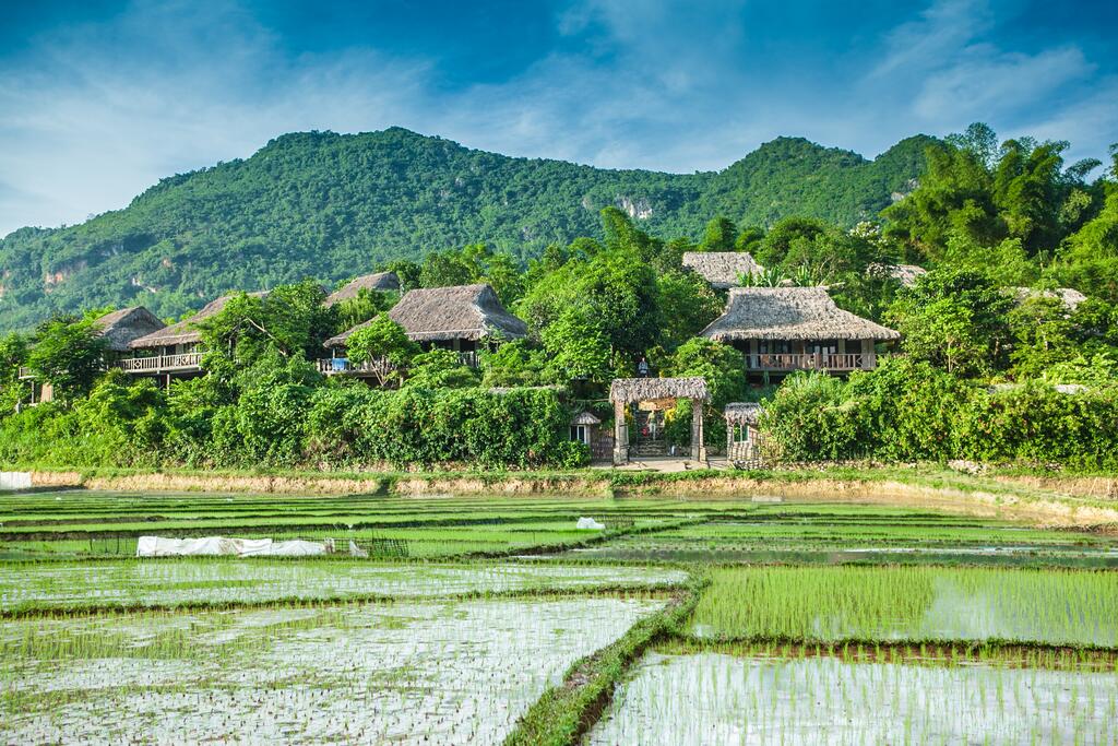 A lush green field with houses in the background and mountains in the background.