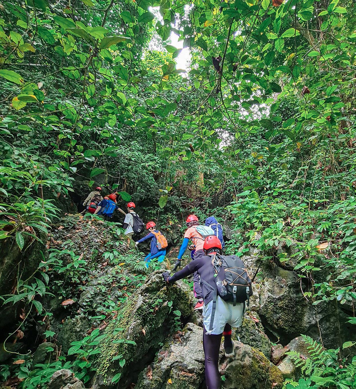 Trekking Highlights in Central Vietnam