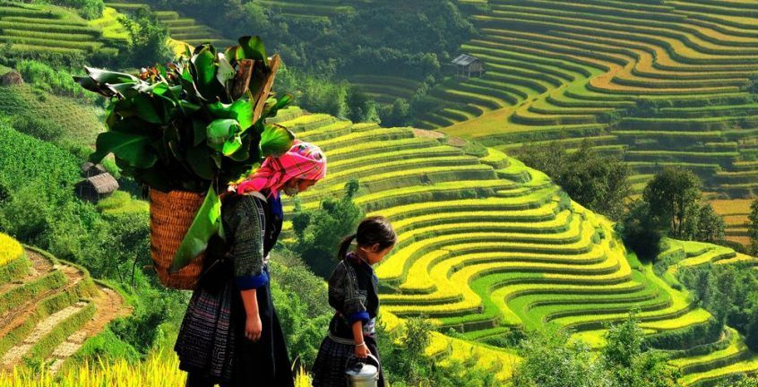 Sapa Things to Do: 15 Best Experiences in Sapa Vietnam (2026 Guide)