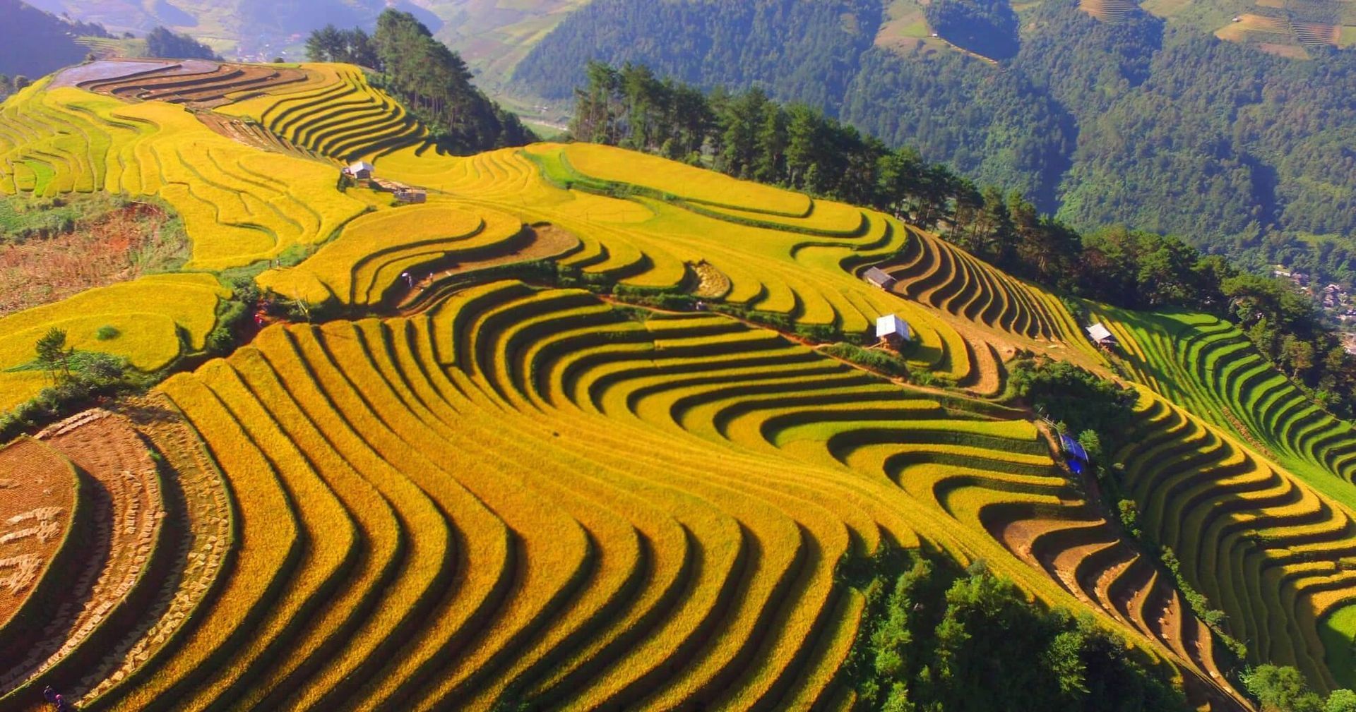 Vietnam Travel Tips 2
