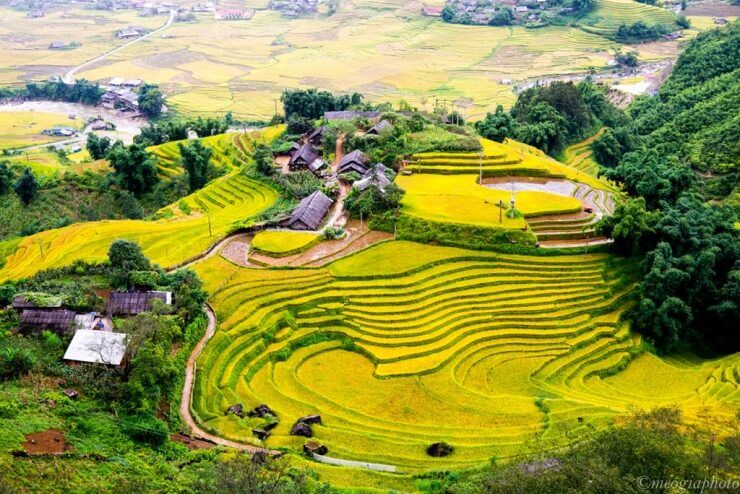 An aerial view of a lush green hillside filled with rice terraces.