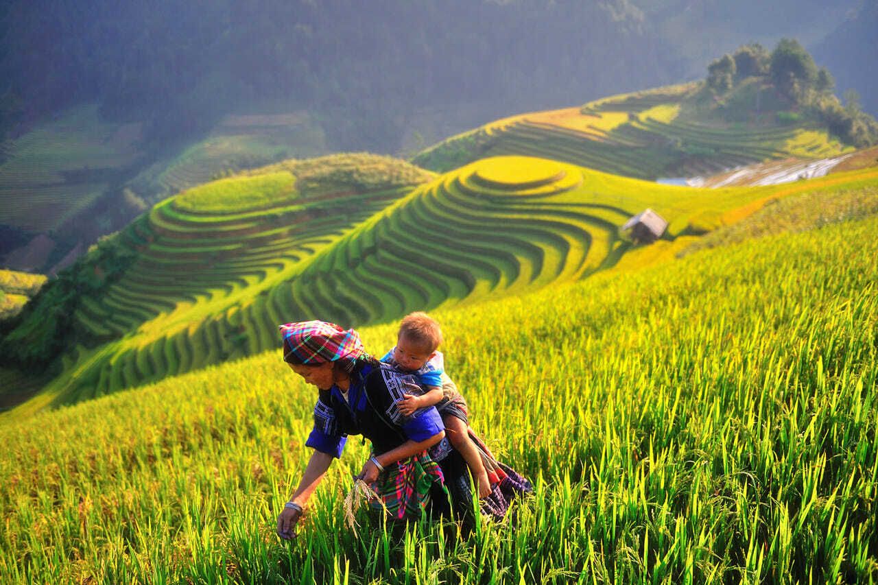 A woman is carrying a child in a field of green grass.