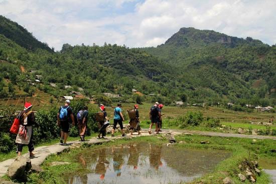 Top Trekking Destinations in Northern Vietnam