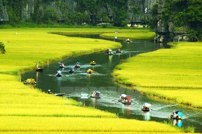 A group of people are riding boats down a river surrounded by rice fields.