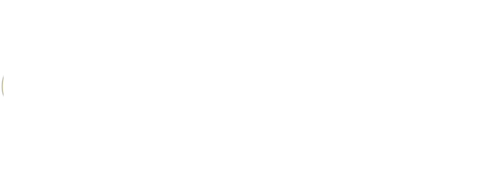 logo-image