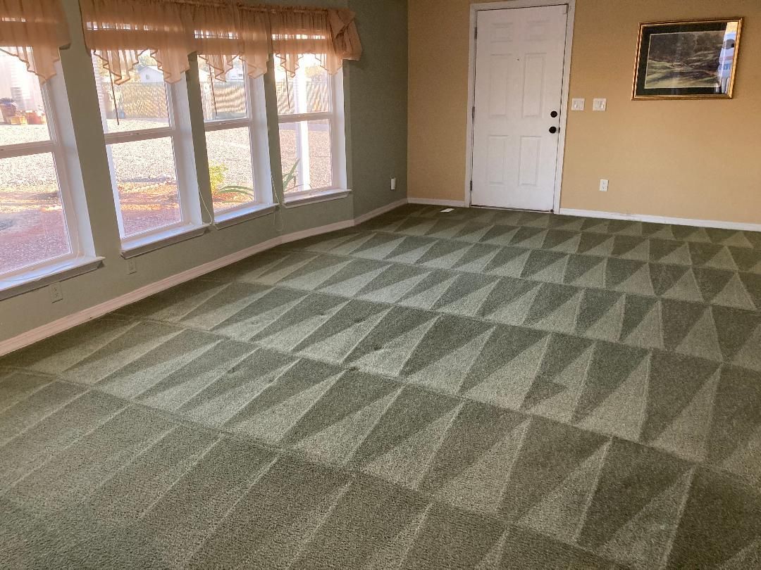 Professional carpet cleaning by Todd's Carpet and Tile Cleaning Professional carpet cleaning by Todd's Carpet and Tile Cleaning