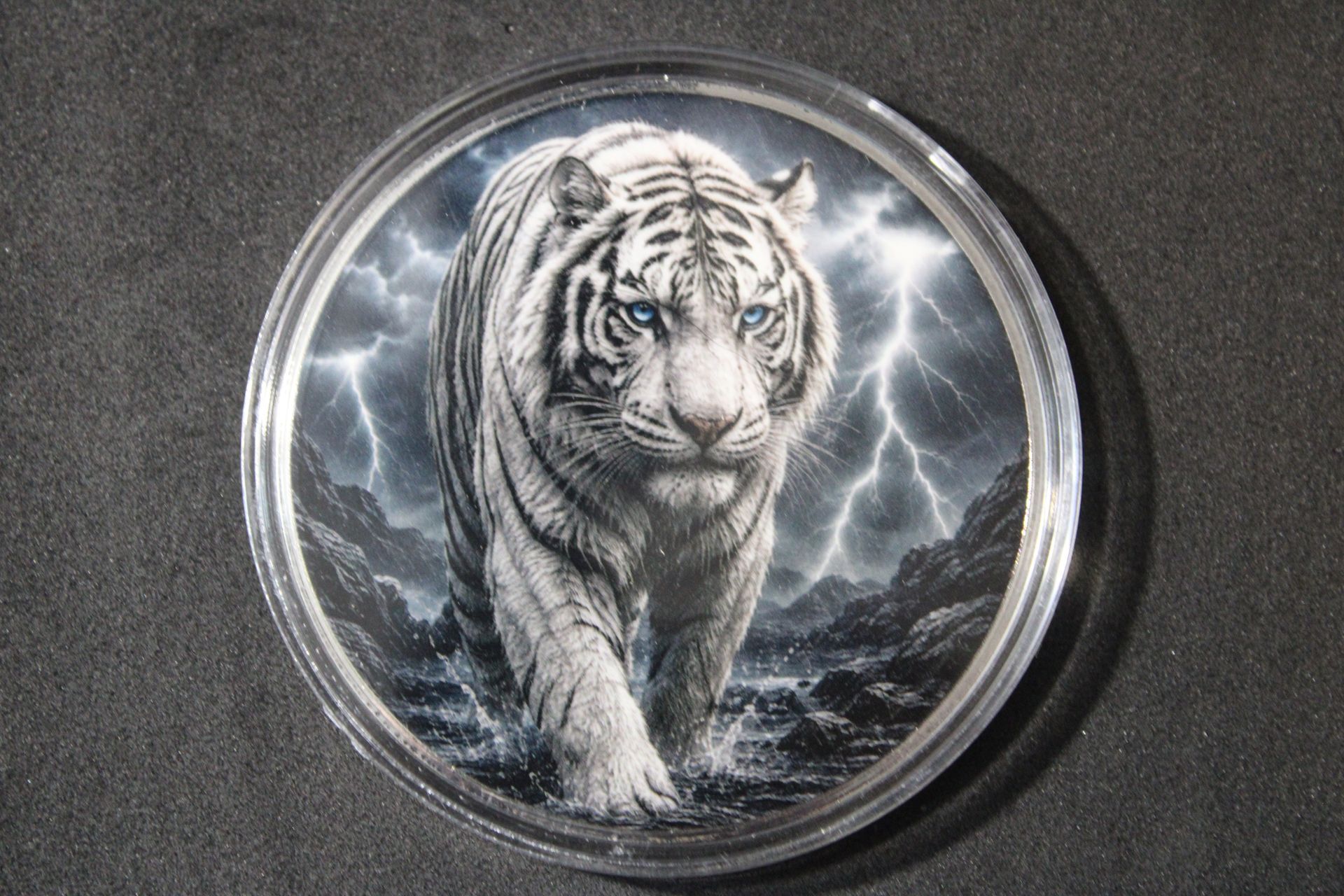 Spirit of the Storm 5oz .999 Fine Copper Round