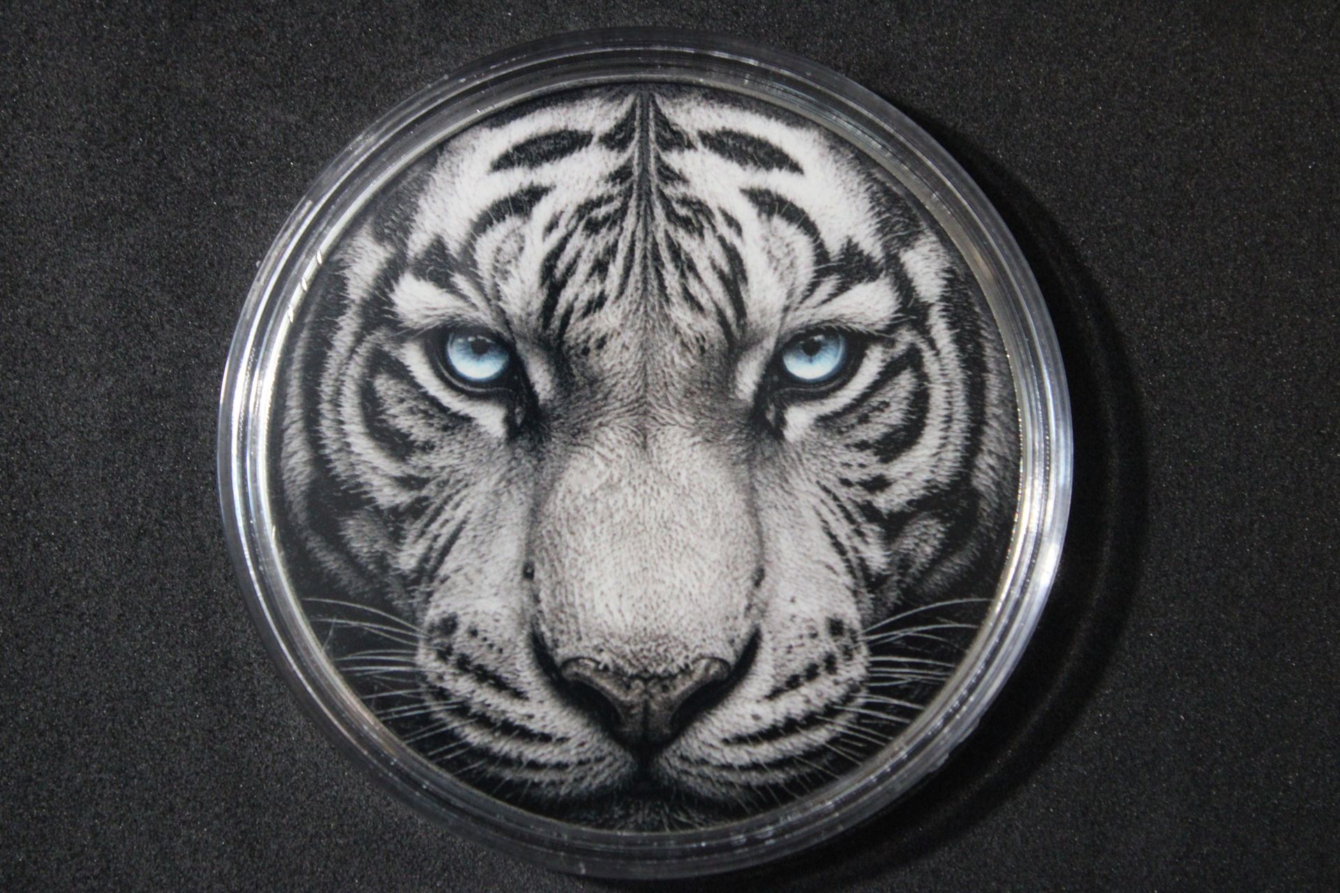 Spirit of the Storm 5oz .999 Fine Copper Round