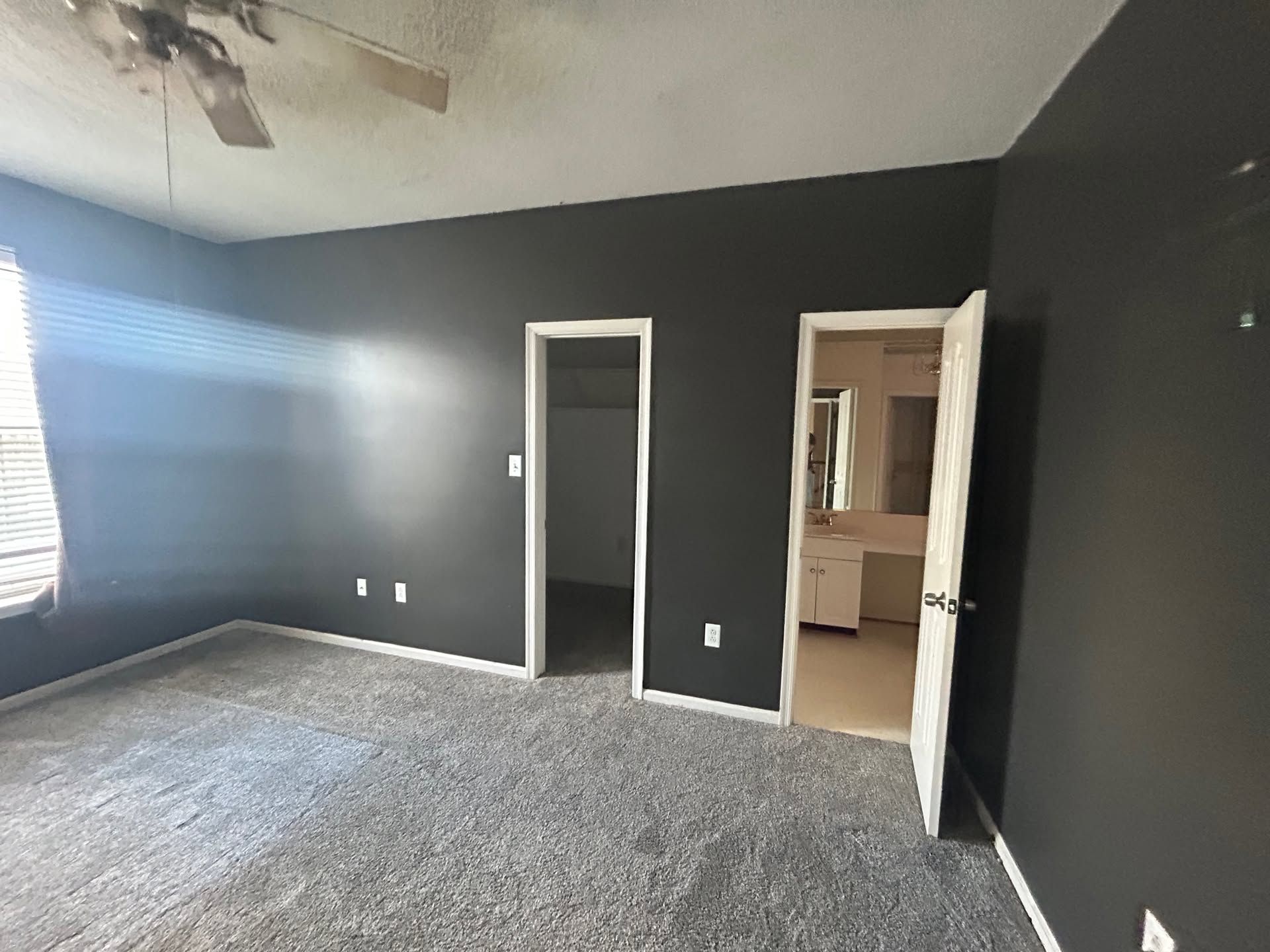 Empty bedroom with dark walls, gray carpet, ceiling fan, and an open doorway to a bathroom.