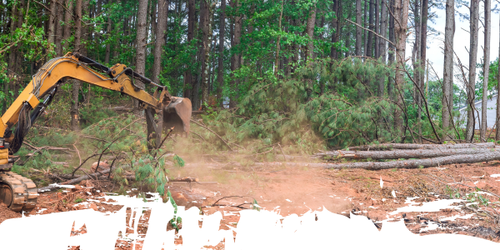 land clearing