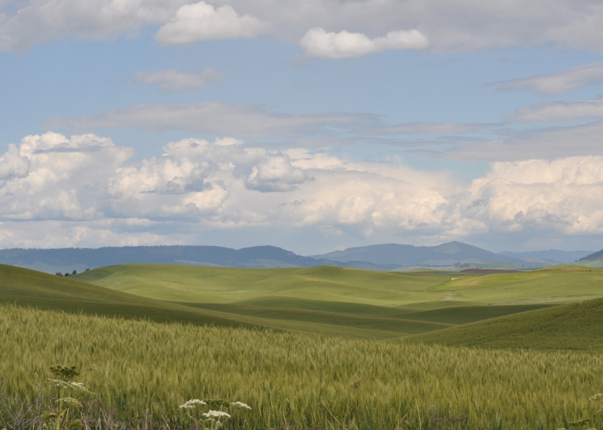 Superior customized property management Pullman WA