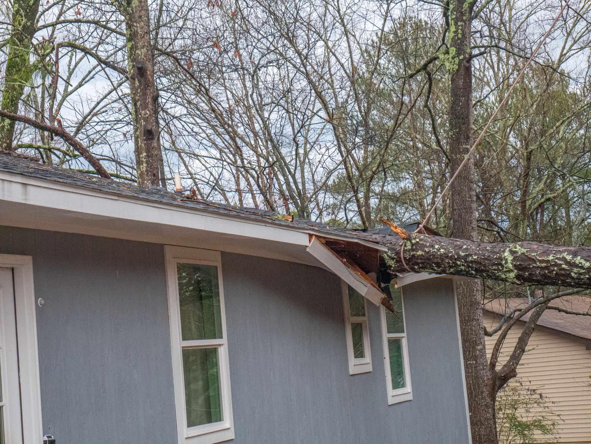 White house gutter and downspout under a gray shingled roof corner