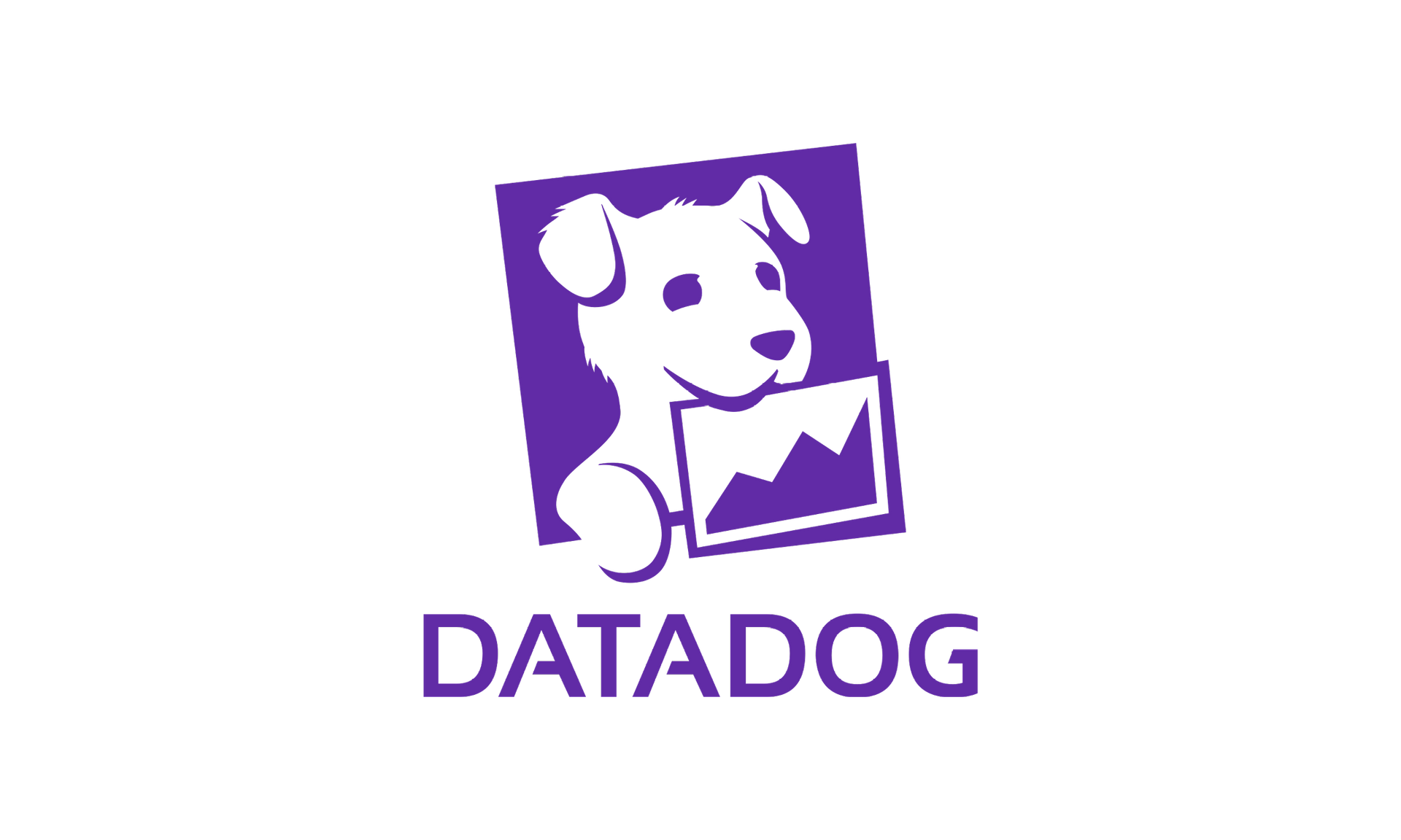 DataDog