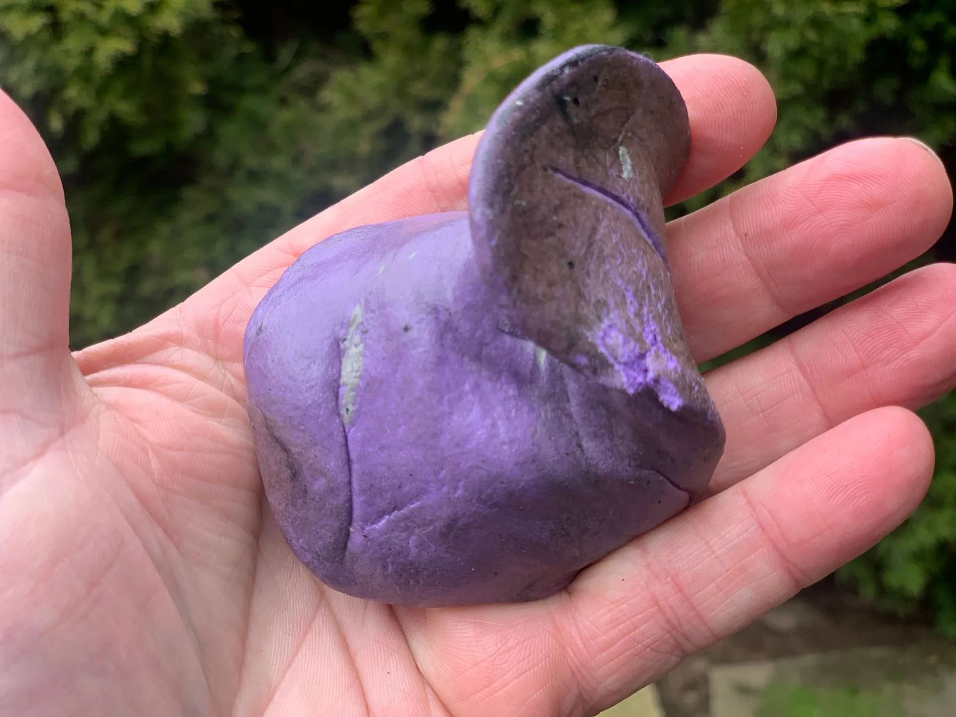 purple clay bar