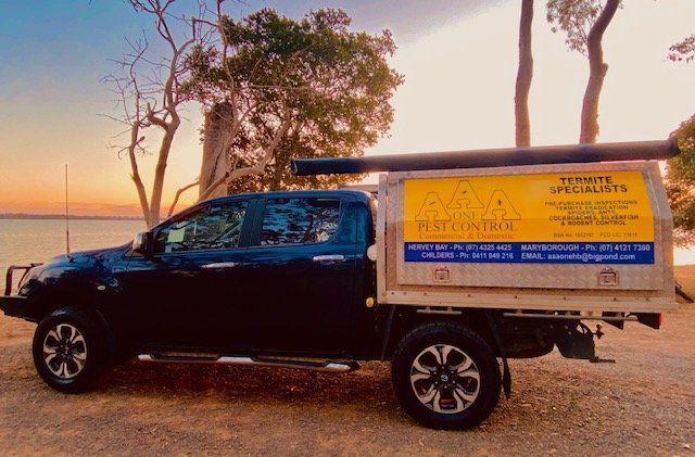 Company Service Ute Tray Truck — AAA One Pest Control in Maryborough, QLD