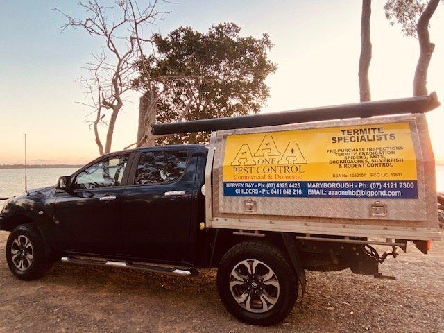 Woman And Young Pest Control Worker — AAA One Pest Control form Contact Us in Fraser Coast, QLD