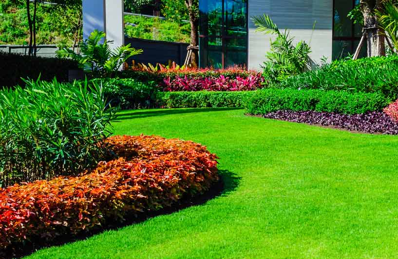 Lush landscaped garden with bright green lawn, colorful flower beds, and shrubs beside a modern building