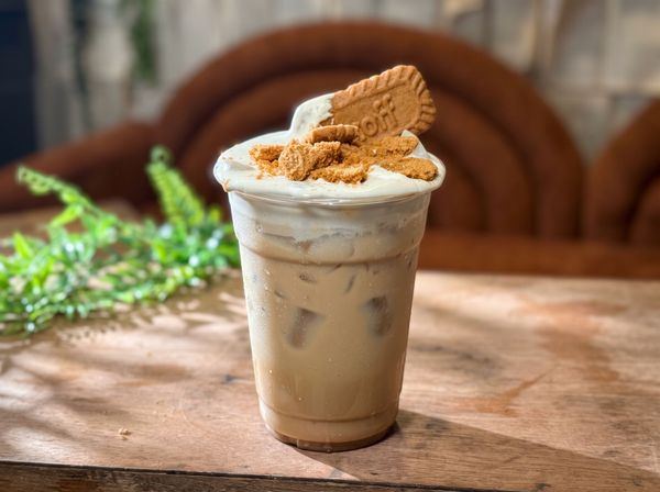 Iced latte topped with whipped cream and cinnamon on a wooden table, with a green plant in the background