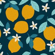 limoni e fiori d'arancio