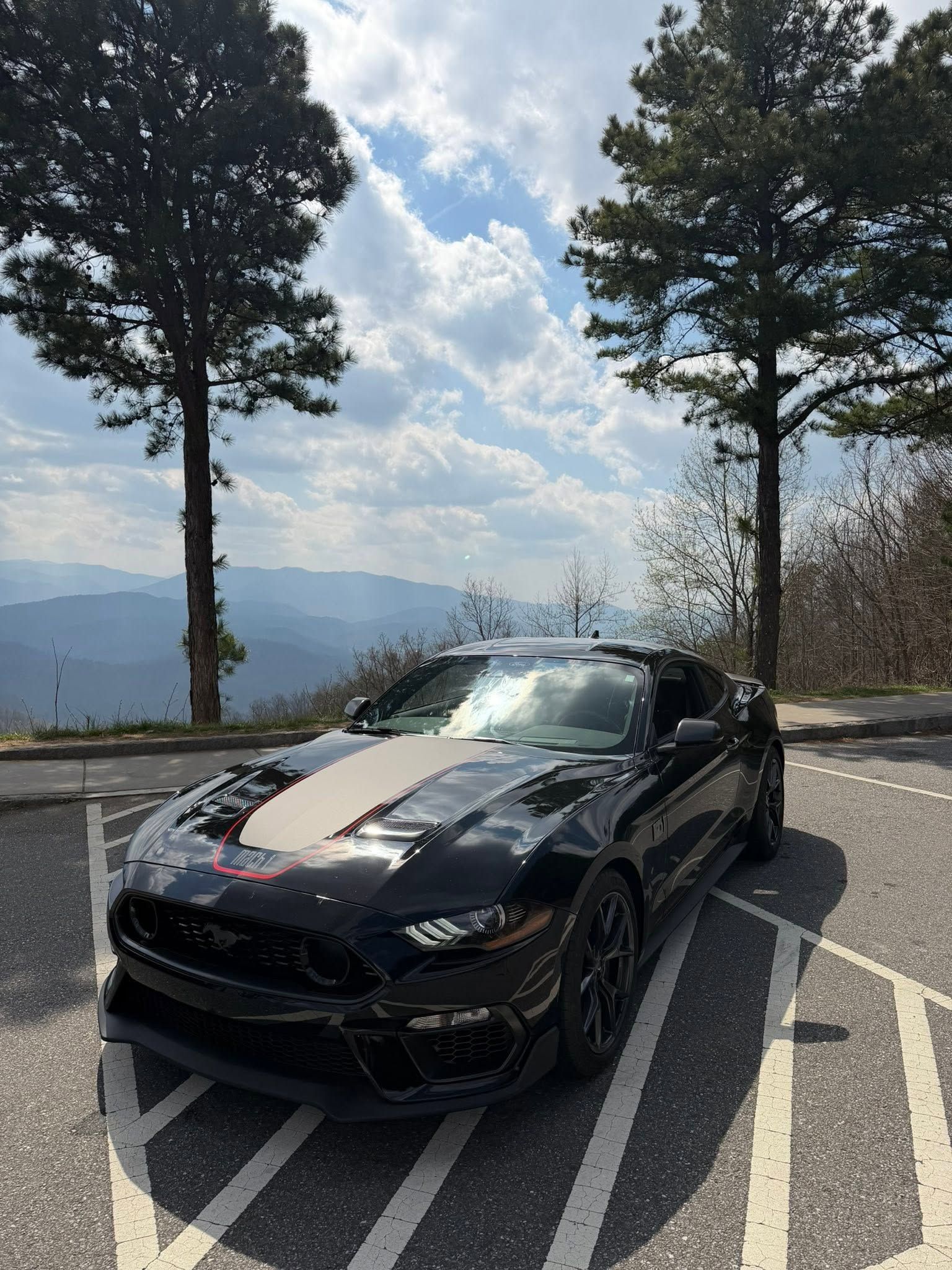 Black sports car with white racing stripe parked on a mountain overlook with trees and cloudy sky