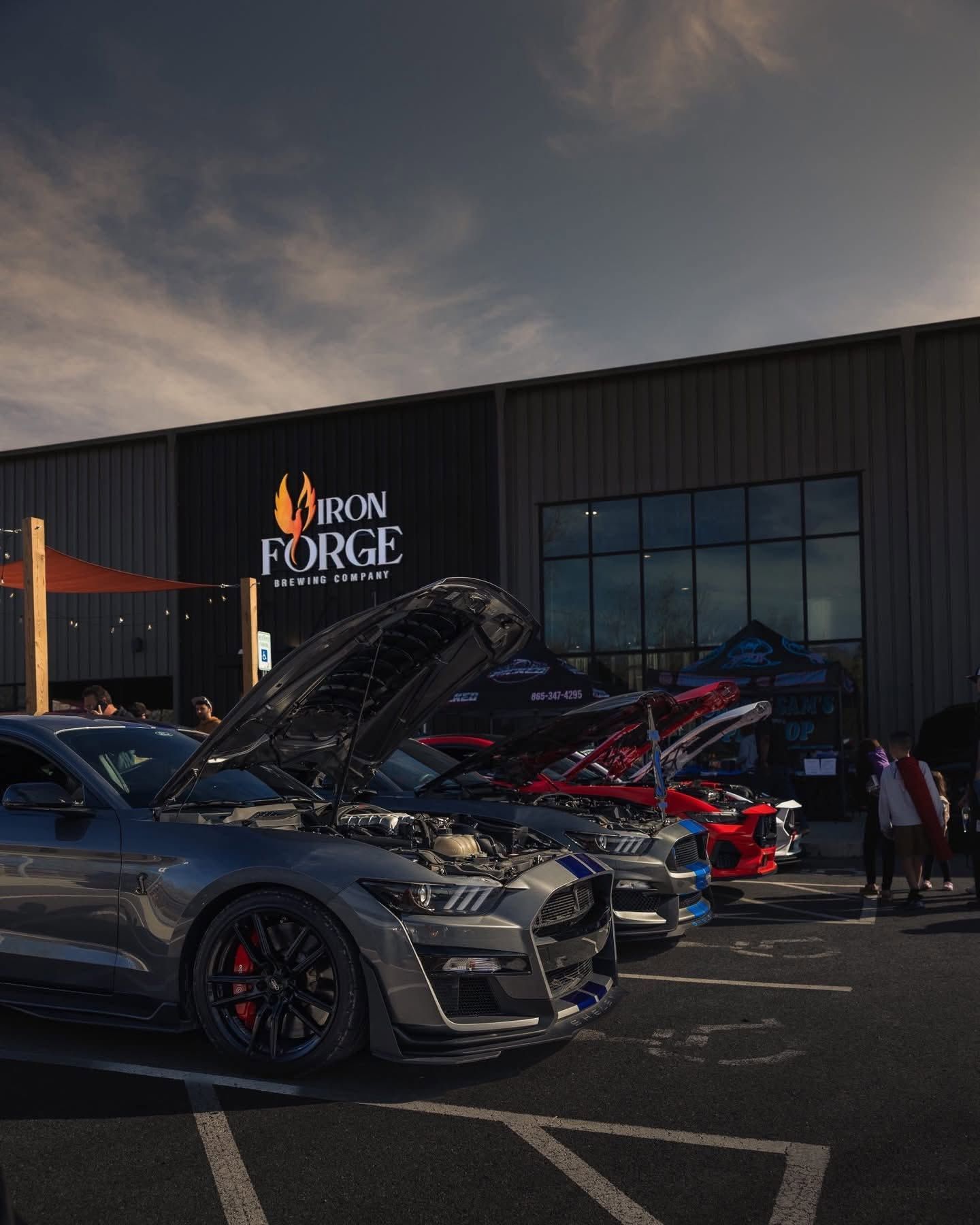 Sports cars parked outside a building at dusk, with a black Corvette in the foreground and cars on display.