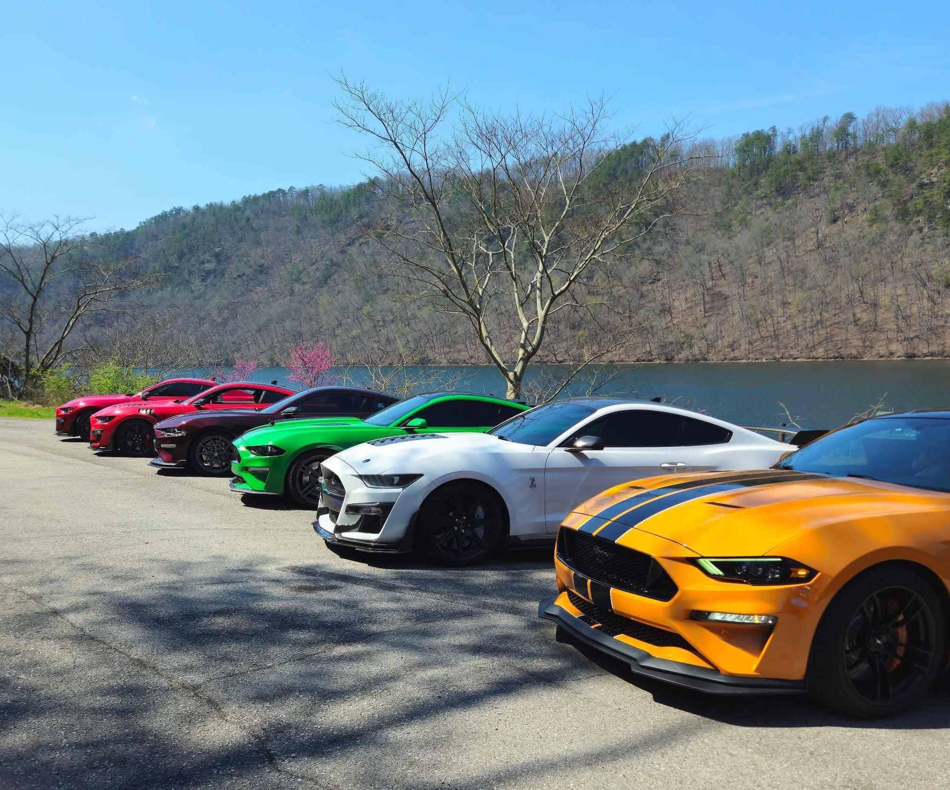 Row of colorful sports cars parked outdoors along a mountain road in sunlight